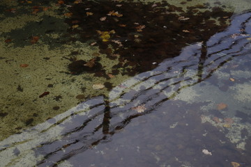 Reflections on the water