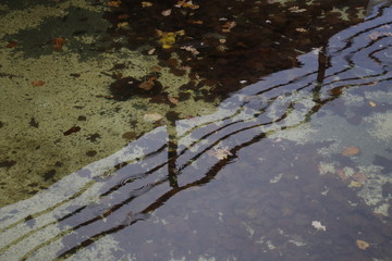 Reflections on the water