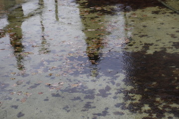 Reflections on the water