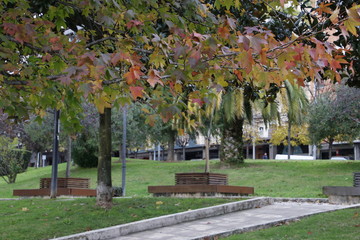 Autumn in an urban park