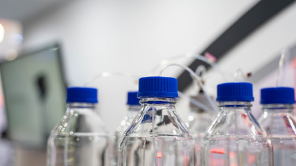 Testing Tubes In Science Laboratory