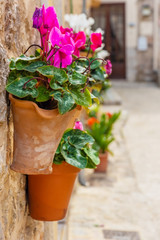 Beautiful window with flower pots and colorful flowers serving as a decoration of the facade. Spanish village Valldemossa, Mallorca, Spain