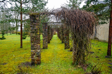  Arches for plants in a park in Kurzeme, Latvia.