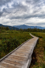 Wooden walking path on One Mile Lake with green vibrant plants and leafs. Picture taken in Pemberton, British Columbia (BC), Canada, on a cloudy summer day.