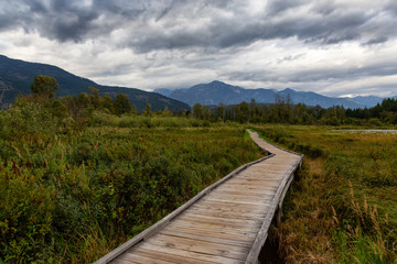 Wooden walking path on One Mile Lake with green vibrant plants and leafs. Picture taken in Pemberton, British Columbia (BC), Canada, on a cloudy summer day.