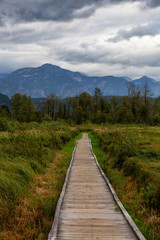 Fototapeta na wymiar Wooden walking path on One Mile Lake with green vibrant plants and leafs. Picture taken in Pemberton, British Columbia (BC), Canada, on a cloudy summer day.