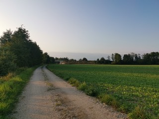 Feldweg