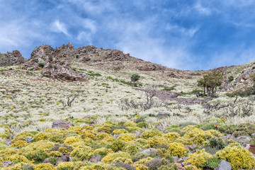 Sfinari, route côtière de Sfinari, Crète