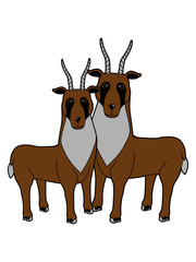 2 Letschwe Antilopen design liebe nett kind