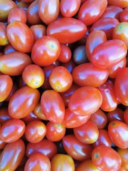 Small red and yellow color tomatoes background.