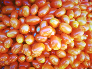 Small red and yellow color tomatoes background.