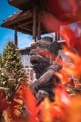 Buddha hinter einer Pflanze versteckt