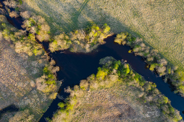 Forest in spring colors. Green deciduous trees and meandering blue river in sunset. Rabivere bog,...
