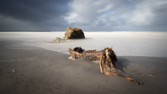 Tronco de madera arrastrado por el mar a la orilla de la playa