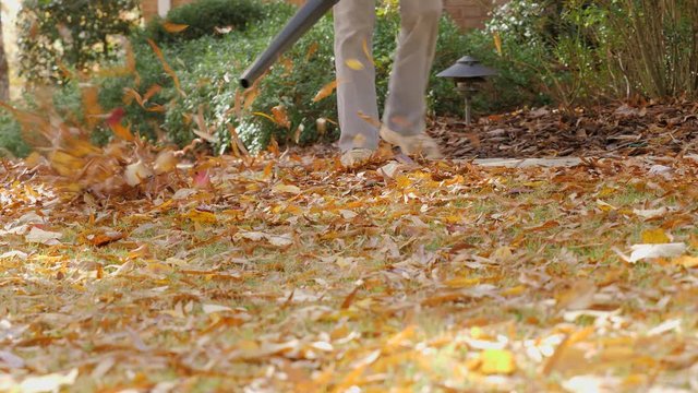 Man using electric powered leaf blower to blow autumn leaves from grass lawn. Landscape worker clearing fall leaves from residential yard.