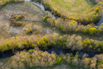 Forest in spring colors. Green deciduous trees and meandering blue river in sunset. Rabivere bog, Estonia, Europe