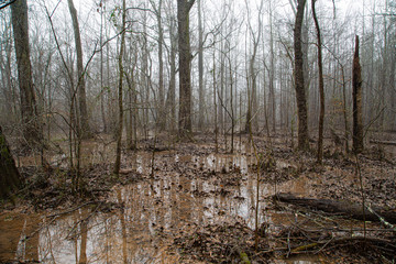 Flooded wetlands after days of heavy rains