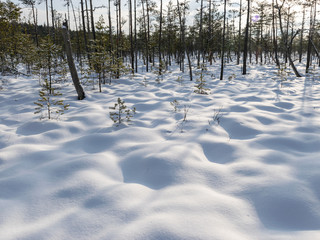 winter landscape with white snow, grass stalks and shadows