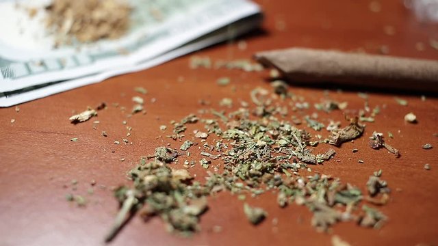 marijuana on the table, preparing to twist the jamb