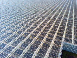 aerial view of a modern agricultural greenhouse