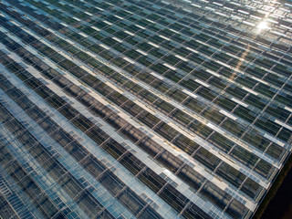 aerial view of a modern agricultural greenhouse