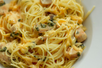 chicken breast with vegetables and mushrooms in a creamy sauce with pasta