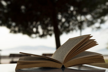 reading book on the wooden table at the park.