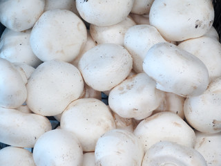 White mushroom caps of the champignon in the container..