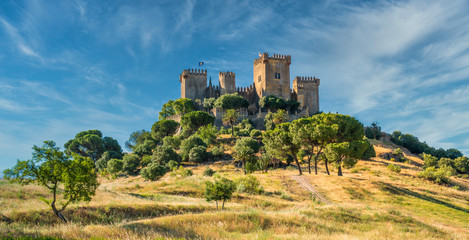Fototapeta na wymiar Almodovar del Rio Castle, in the province of Cordoba, Andalusia, Spain.