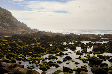 coastal scene at O Faro, one of the Cíes Islands