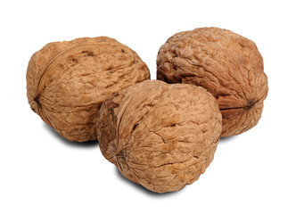 Close up of three hard walnut isolated on white background.