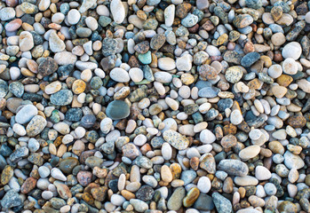 Pebbles beach as background. Multicolored beautiful stones background texture.Summer , sea  and holiday background