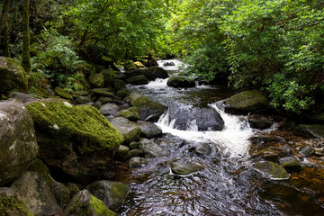 Obraz premium Arroyo en el Parque Nacional Killarney, Irlanda