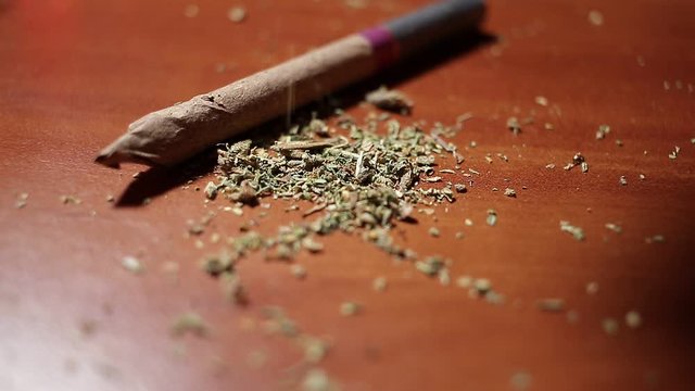 marijuana on the table, preparing to twist the jamb