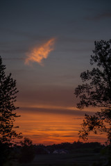 Sunset over the forest