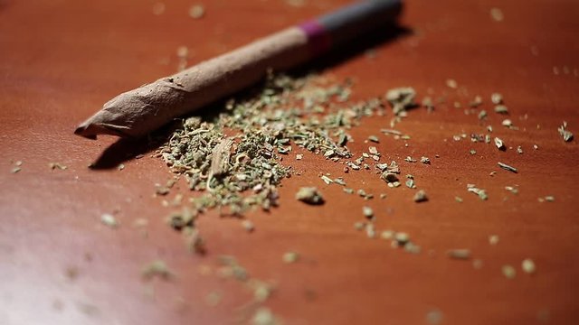 marijuana on the table, preparing to twist the jamb
