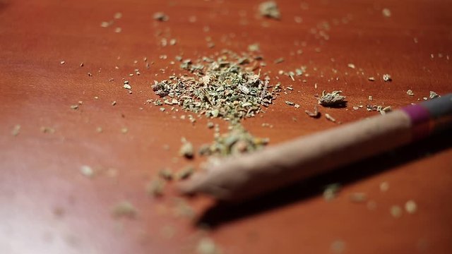 marijuana on the table, preparing to twist the jamb