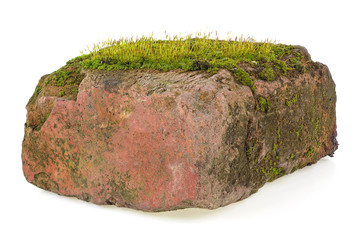 Moss on the old red brick isolated on a white background