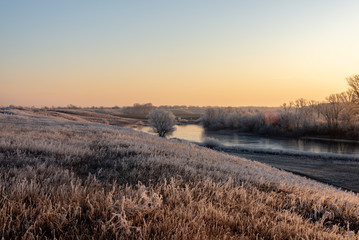 Frozen bush against a bright dawn horizon