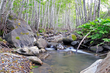 Flowing Creek