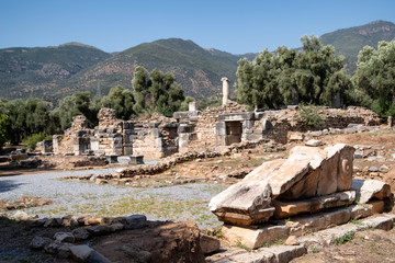 Fototapeta na wymiar senate house of nysa on the meander ancient city