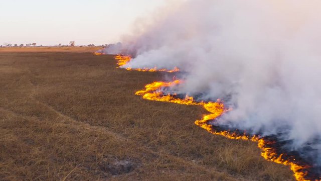 Climate change.Close-up aerial fly over view through the smoke of a grass fire in the Okavango Delta, caused by drought and climate change, Botswana