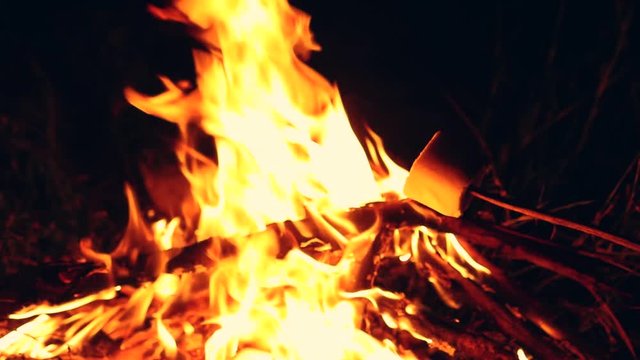 Camp fire in the grass, marshmello on a stick, close up