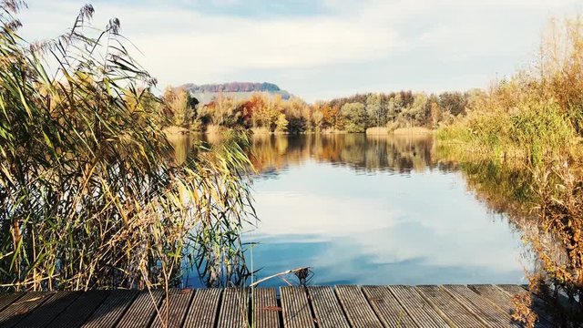 Bird nature reserve lake view from the wooden pier, real time shot