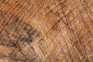texture background aged wood close-up