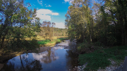 A summer landscape with a stream, trees field and a forest.