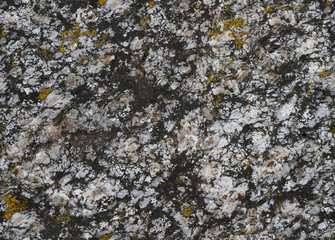 Full frame image of the surface of a black and white granite boulder with small patches of yellow lichen. Seamless multicolored texture of original natural stone for 3d models, backgrounds, design