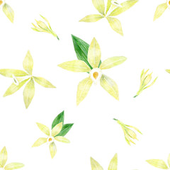 Fototapeta premium Watercolor seamless pattern with yellow vanilla flowers.