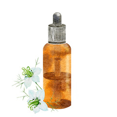 Watercolor glass bottle with cumin essential oil.