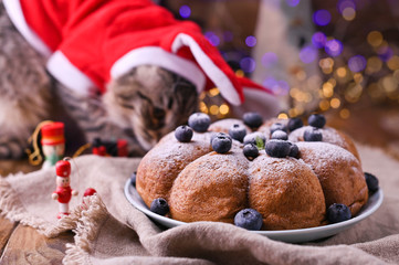 Celebratory cake and Beautiful cat in santa claus clothes. Background with bokeh for Christmas card. Copy space.